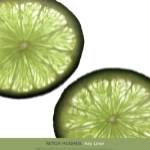 Key Lime by Mitch Hughes