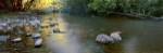 Kiewa River by Wayne Bradbury Photography