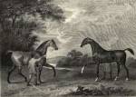 King Herod Flying Childers by John Scott