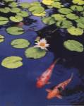 Koi Pond II by Maureen Love