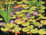 Koi Pond II by Rosiland Solomon