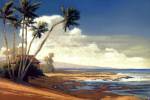 Kona Coast I by Allan Stephenson