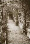 La Centinale, Italy by Meg McComb
