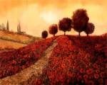 La Colina Dei Papaveri by Guido Borelli