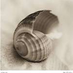 La Playa No3 by Alan Blaustein