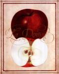 La Pomme by Rolland Designs