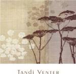 Lace II by Tandi Venter