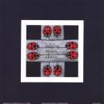 Ladybug Square Dance by Barbara Norris