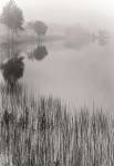 Lakeside Mist by Monte Nagler