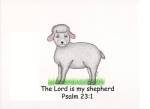 Lamb by Cindy Egger