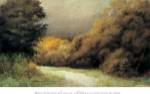 Languid Afternoon by Robert Striffolino