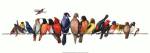 Large Bird Menagerie by Wendy Russell