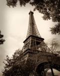 Last Day in Paris I by Emily Navas