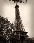 Last Day in Paris II by Emily Navas