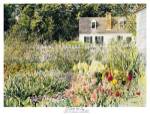 Late Summer Garden by David Coolidge