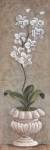 Lavish Orchids I by Angela Ferrante