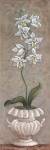 Lavish Orchids II by Angela Ferrante