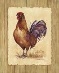 Le Coq by Jerianne Van Dijk