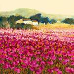 Le Jardin Rouge, Provence by Hazel Barker