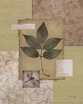 Leaf Collage II by Tim Coffey
