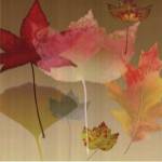 Leaf Counterpoint by Robert Mertens