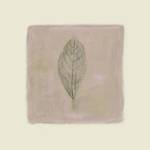 Leaf Impression l by Lara Jealous