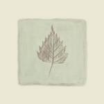 Leaf Impression lll by Lara Jealous