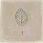Leaf Impression lV by Lara Jealous