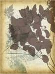 Leaf Letters I by Jennifer Goldberger