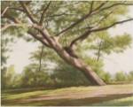 Leaning Tree, 2003 by John Folchi