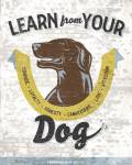 Learn From Your Dog by Luke Stockdale