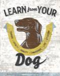 Learn From Your Dog by Luke Stockdale