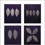 Leaves Study by Mark Baker