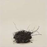 Leebas Nest by Ruth Silverman
