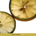 Lemon by Mitch Hughes