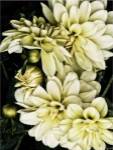 Lemon Dahlias I by Rachel Perry
