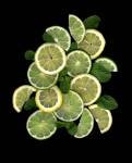Lemons, Limes & Mint by Susan Barmon