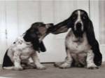 Lend Me Your Ear by Keystone