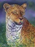 Leopard by Cory Carlson