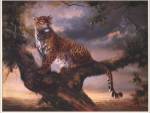 Leopard In Tree by Elvira Duran