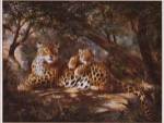 Leopard with Cub by Elvira Duran