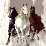 Les chevaux I by Bernard Ott