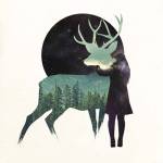 Let The Universe Love You by Robert Farkas