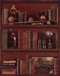 Librairie IV by Pela Design