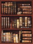 Library by Libero Patrignani
