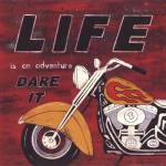 Life by Andrea Roberts