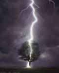 Lightning by Davey Allan
