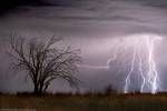 Lightning by Wayne Bradbury Photography
