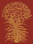 Lilies 16