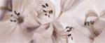 Lilies 54 by Huntington Witherill
